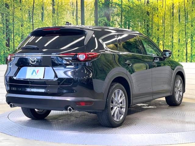 Mazda CX-8 2019-01 5152-17