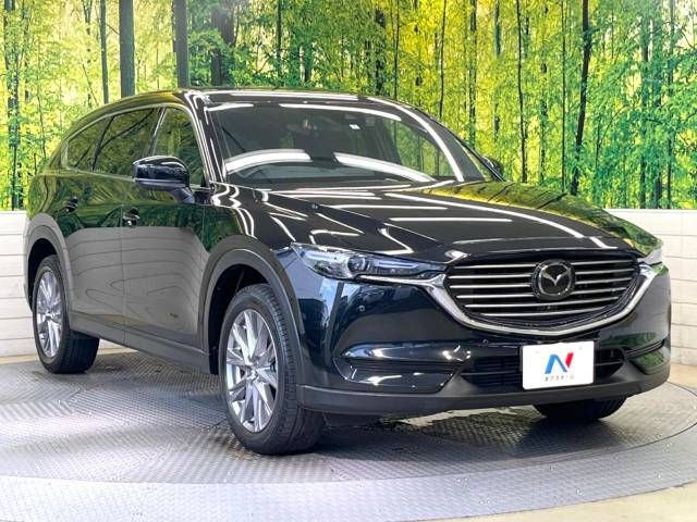 Mazda CX-8 2019-01 5152-16