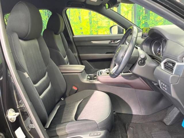 Mazda CX-8 2019-01 5152-8