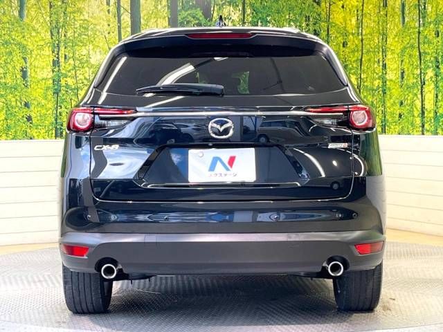 Mazda CX-8 2019-01 5152-15