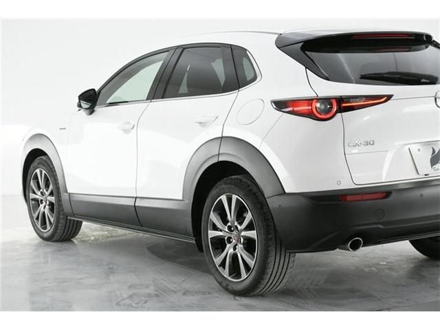 Mazda CX-30 2020-08 194128-5