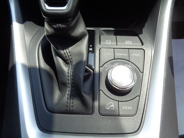 Toyota RAV4 2020-09 3231-11