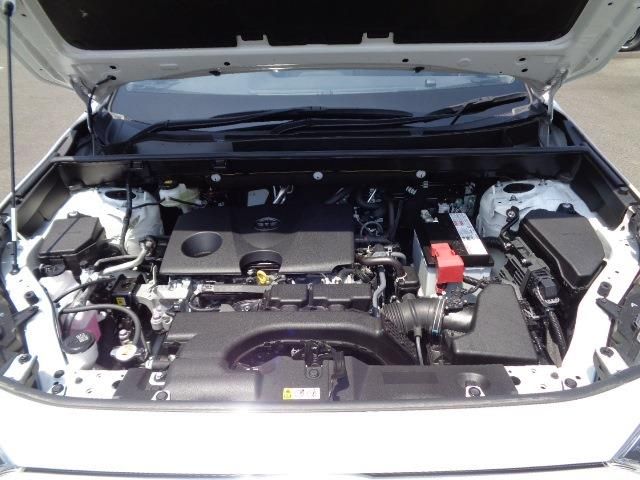 Toyota RAV4 2020-09 3231-19