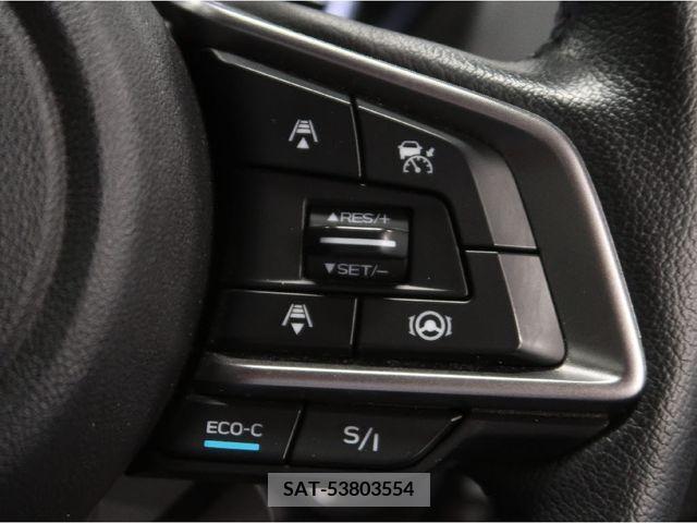 Subaru FORESTER 2019-03 316046-16
