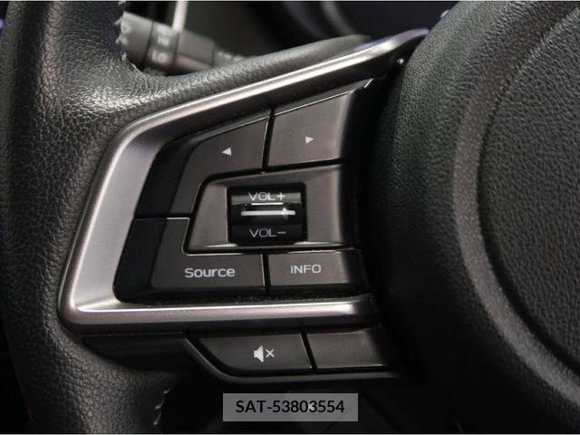 Subaru FORESTER 2019-03 316046-15