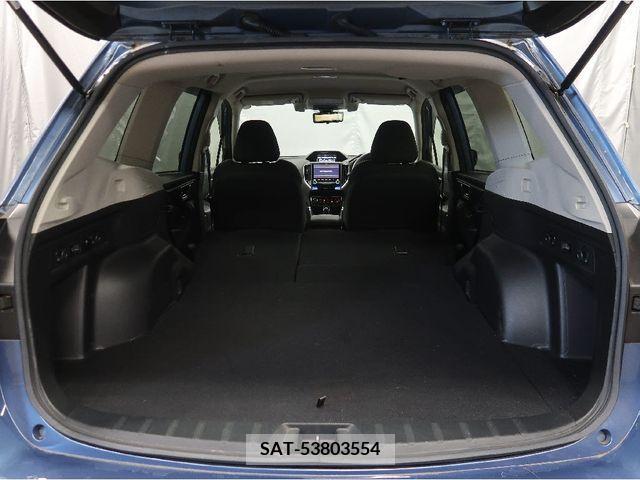 Subaru FORESTER 2019-03 316046-6