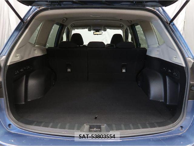 Subaru FORESTER 2019-03 316046-5