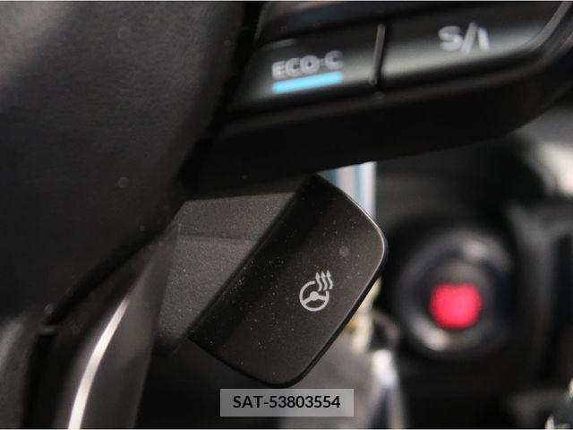 Subaru FORESTER 2019-03 316046-17