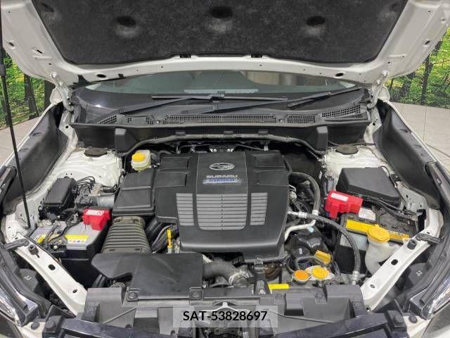 Subaru FORESTER 2019-09 396614-18
