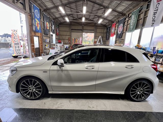 Mercedes Benz A-CLASS 2016-08 10733-13