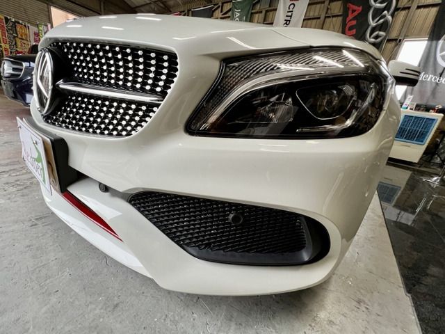 Mercedes Benz A-CLASS 2016-08 10733-5