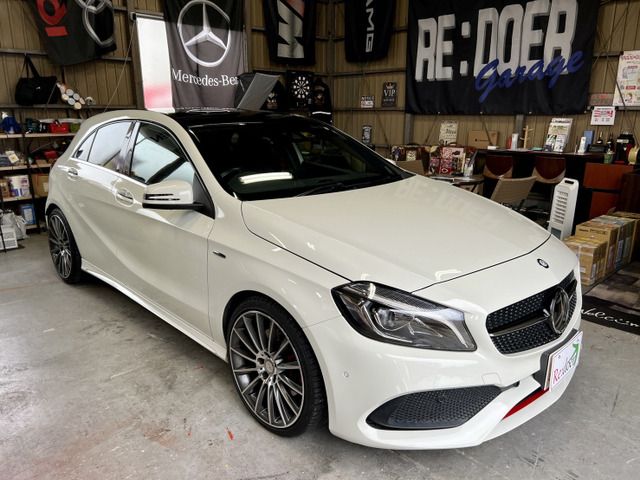 Mercedes Benz A-CLASS 2016-08 10733-0