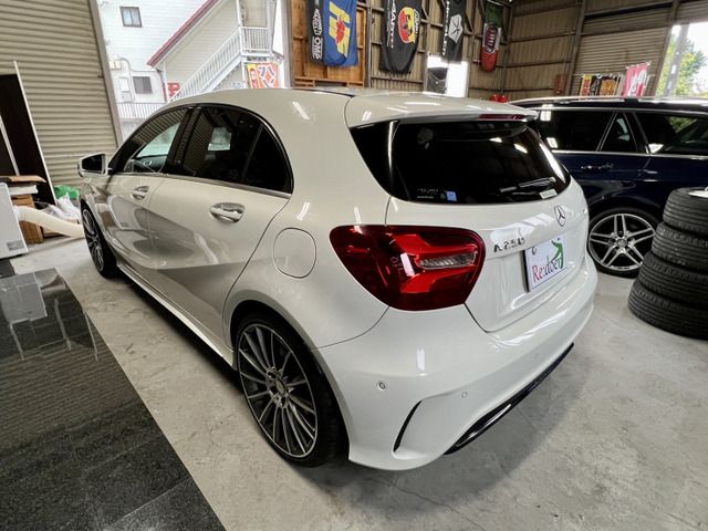 Mercedes Benz A-CLASS 2016-08 10733-14