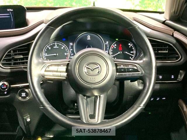 Mazda CX-30 2022-01 302092-13