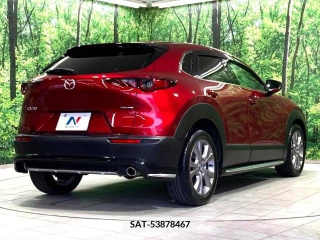 Mazda CX-30 2022-01 302092-17