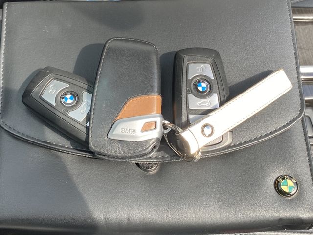 Bmw 5 SERIES 2013-03 196488-21