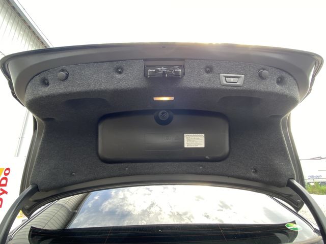 Bmw 5 SERIES 2013-03 196488-28
