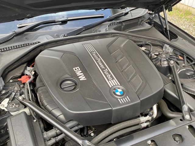 Bmw 5 SERIES 2013-03 196488-29