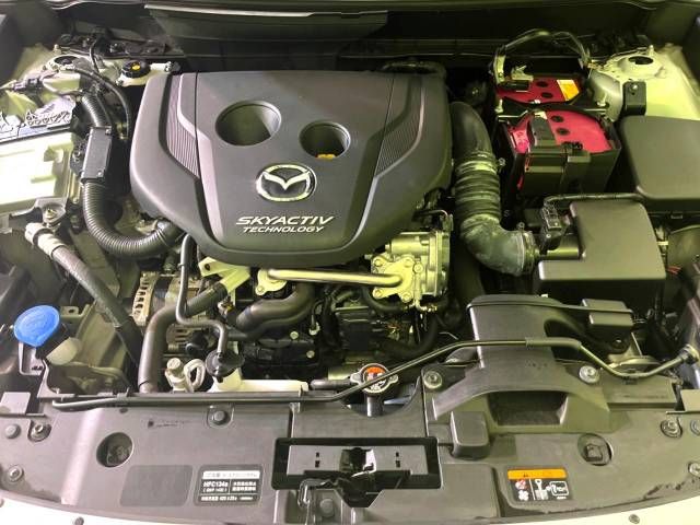 Mazda CX-3 2016-08 193284-18