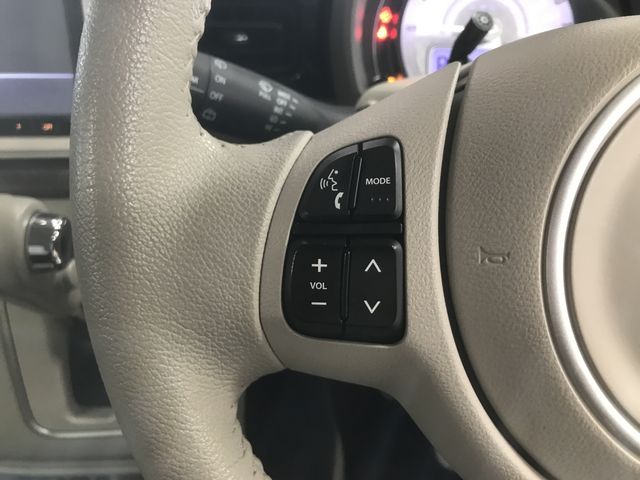 Suzuki LAPIN 2019-05 189290-26