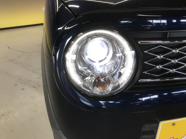 Suzuki LAPIN 2019-05 189290-19