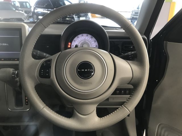 Suzuki LAPIN 2019-05 189290-25