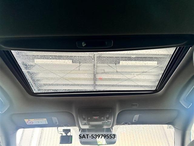 Lexus IS 2023-09 233805-3