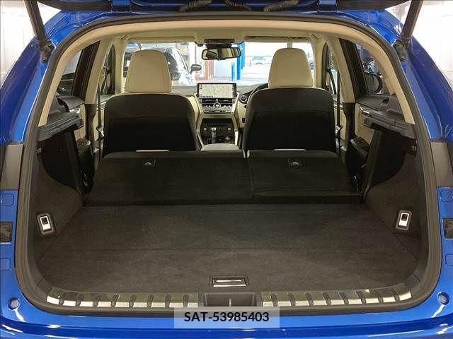 Lexus NX 2018-05 354196-13