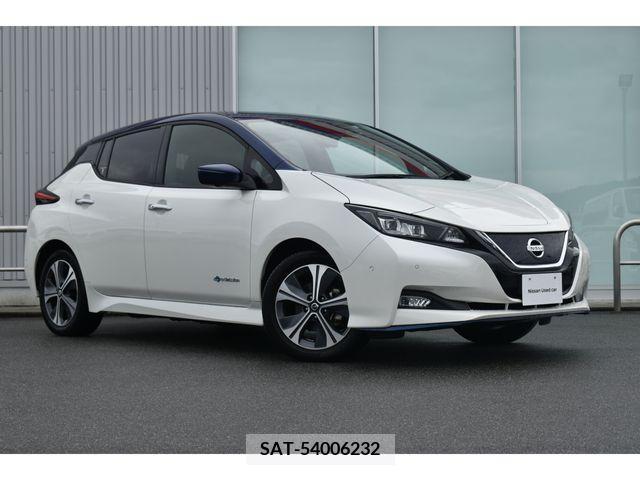 Nissan LEAF 2020-01 206819-25