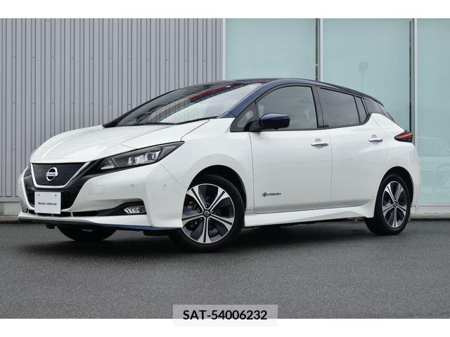 Nissan LEAF 2020-01 206819-0