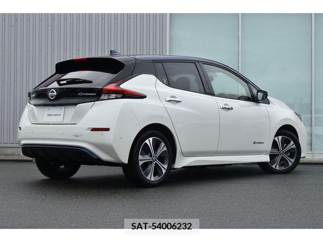 Nissan LEAF 2020-01 206819-1