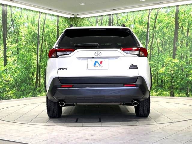 Toyota RAV4 2021-01 24632-15