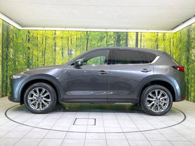 Mazda CX-5 2019-04 17730-17