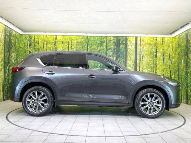 Mazda CX-5 2019-04 17730-16