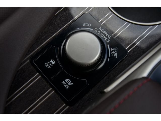 Lexus RX 2015-11 2293-13