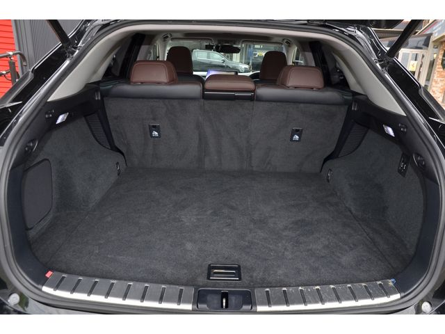Lexus RX 2015-11 2293-19