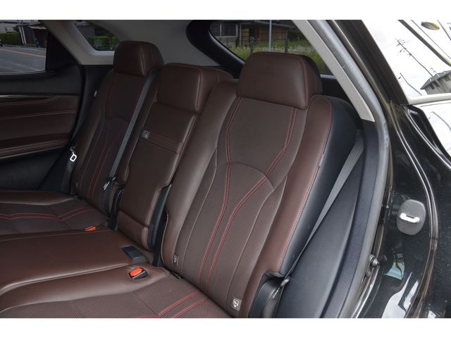 Lexus RX 2015-11 2293-17