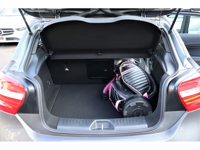 Mercedes Benz A-CLASS 2014-01 20741-18