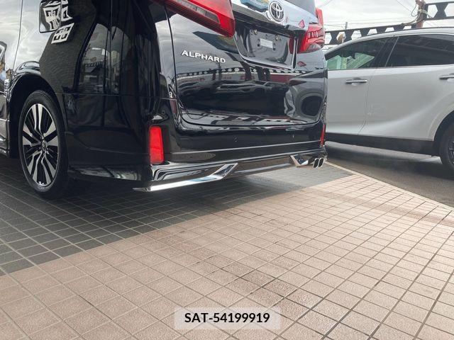 Toyota ALPHARD 2020-12 207703-7