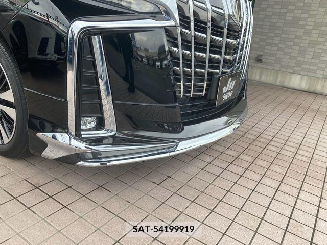 Toyota ALPHARD 2020-12 207703-10