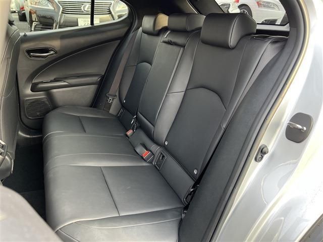 Lexus UX 2019-01 5922-19
