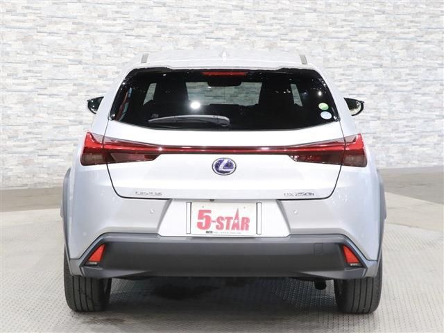 Lexus UX 2019-01 5922-7