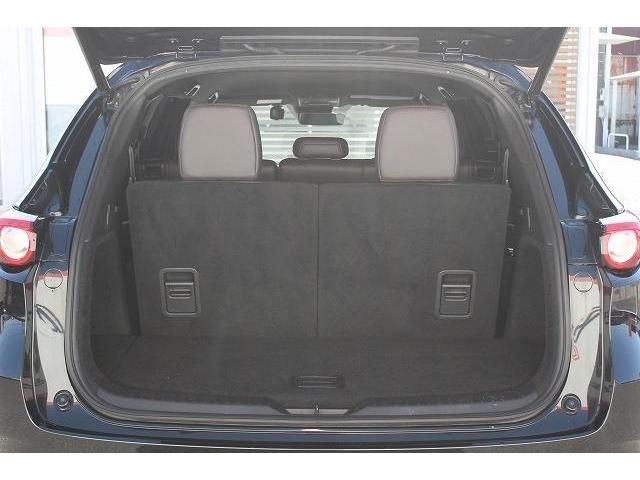Mazda CX-8 2019-02 183283-16