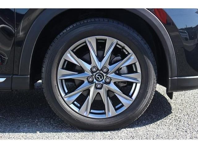 Mazda CX-8 2019-02 183283-9