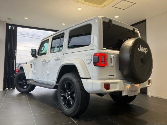 Jeep WRANGLER 1992-09 195763-1
