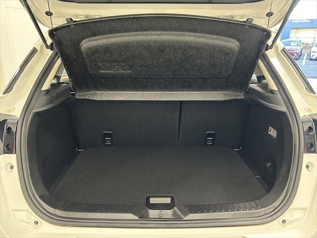 Mazda CX-3 2016-12 10371-23