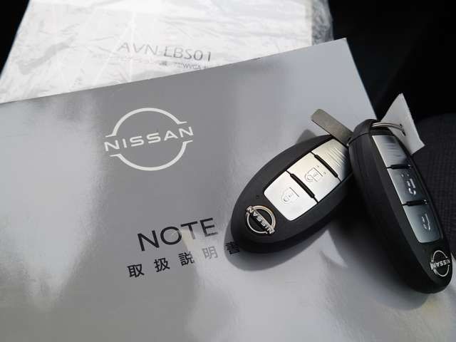 Nissan NOTE 2022-03 25197-12