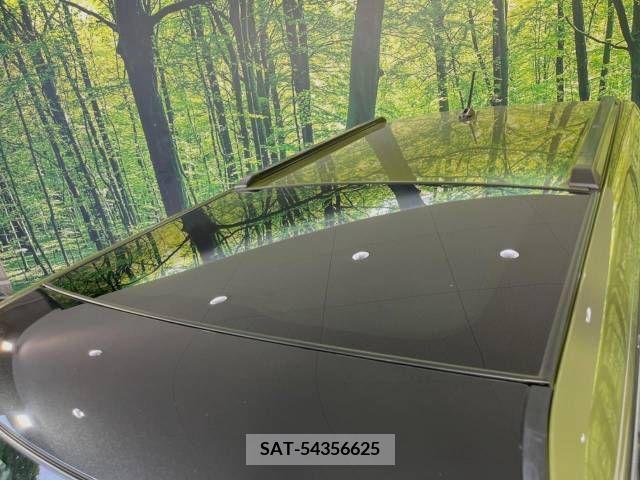 Daihatsu TAFT 2021-01 383691-2