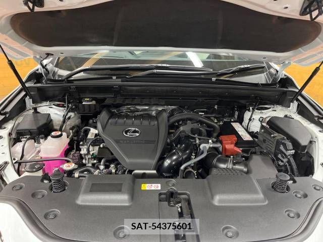 Lexus NX 2022-01 275722-18