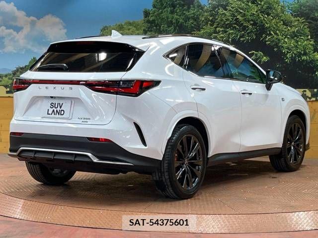 Lexus NX 2022-01 275722-17